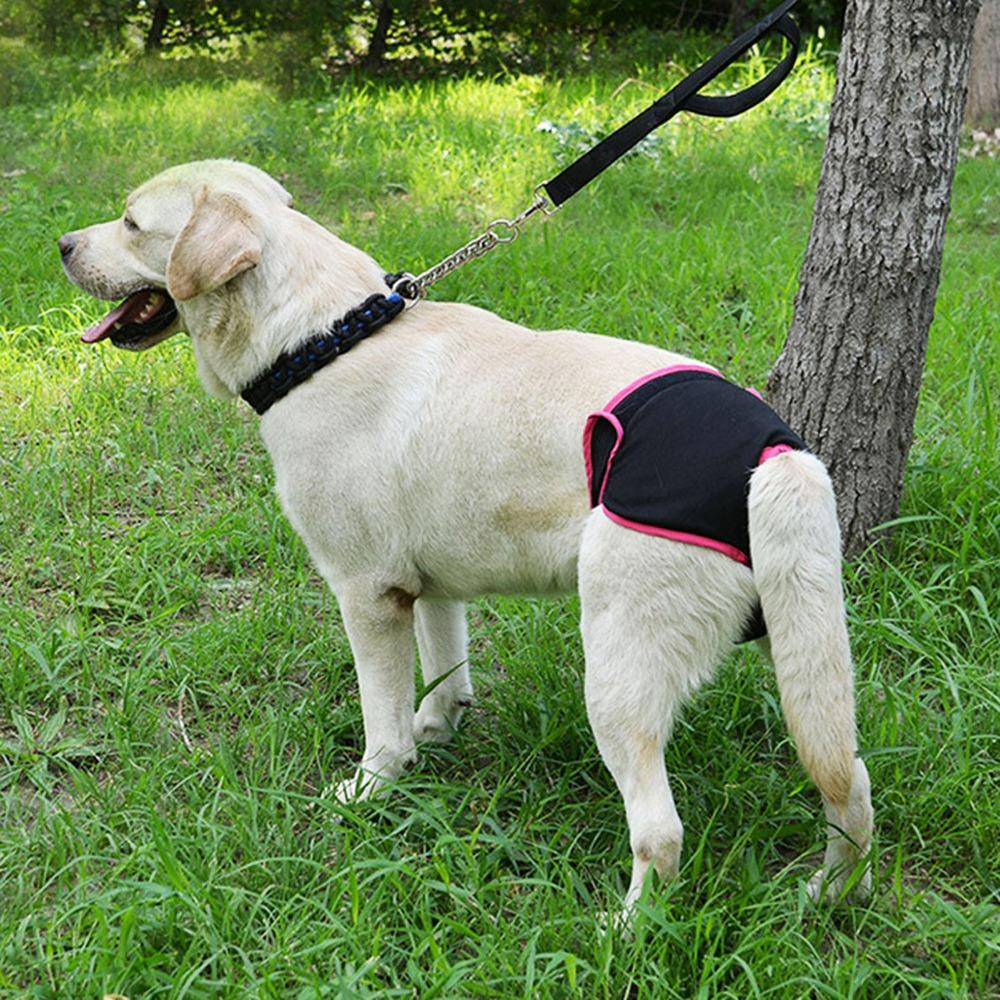 Adjustable Sticky Strap Dog Sanitary Pant Soft Fabric Pet Period Underwear  Dog Estrus