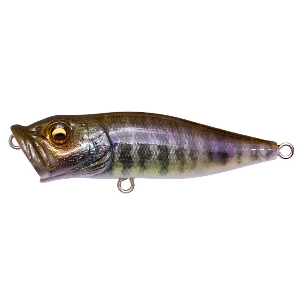 Megabass POPX FA Baby Gill