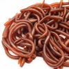 Children's Party Prank Trick Props Can Be Stretched Simulation Earthworm Soft Rubber Ground Dragon Props Maggots Horror Toys