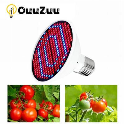 LED Grow Light fito lempa augalų lempai Viso spektro auginimo palapinės lemputės Lempos auginimo lempa patalpų apšvietimas hidroponinis augimo apšvietimas
