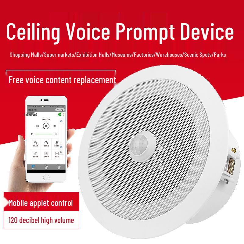 

Wireless Indoor Ceiling Infrared Sensor Voice Timer - Commercial Doorbell Alarm for Supermarkets Ceiling Mounted USB, Small, 10CM Cutout