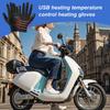 3-Temperature USB Heated Gloves Touchscreen Thickened Mittens for Winter Cycling Skiing, Outdoor Camping & Driving