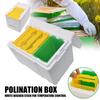 Foam Bee Hive Box Beekeeper Garden Pollination Box Waterproof Bee Breeding Case