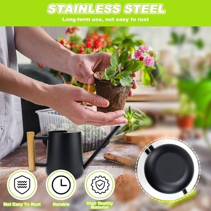 Arrosoir inox 1 L noir - bec fin 16 cm, poignée bois, anti-corrosion, pour plantes d'intérieur
