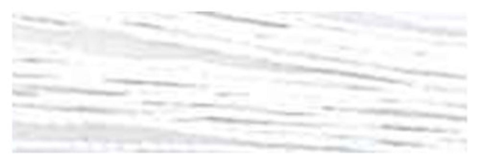 

Fujix Fujix Sewing Thread King Polyester Sewing Thread 30 2000m White 401 Number Color (White)