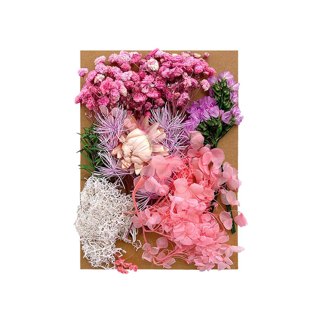 1 Bag Dried Flowers Pressed Dry Flower For DIY Phone Case Epoxy Resin Filling Pendant Jewelry Making Crafts Nail Art Decor