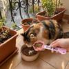 3D Printed Paw Shaped Pet Food Scoop Non-Slip Cat Snack Feeder Cat Feeding Scoop  for Cats and Dogs
