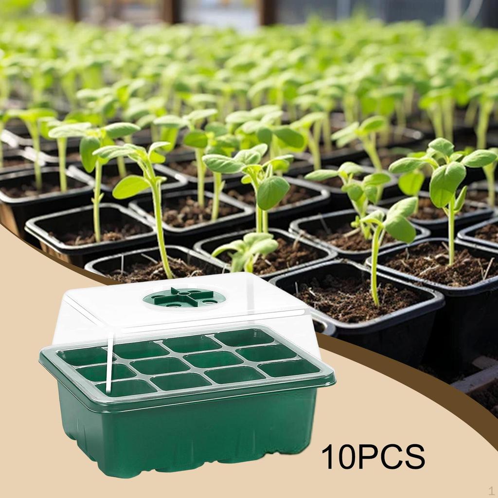 10 Pieces Plant Starter Tray Trays Indoor Nursery for Wheatgrass Growing