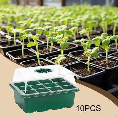 10 Pieces Plant Starter Tray Trays Indoor Nursery for Wheatgrass Growing