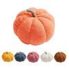 Lightweight Throw Pillow Pumpkin Shaped- Pillow for Living Room Bedroom Present