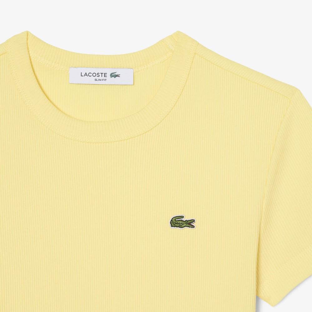 [Lacoste] Women's Slim Fit Ribbed Short-Sleeve T-shirt TF5538-56G107