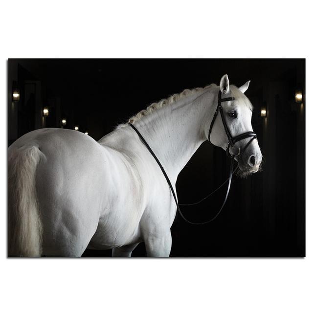 Vintage Horses Canvas Painting Animals Posters and Prints Oil Painting On Canvas Wall Art Pictures For Living Room Decoration No Frame