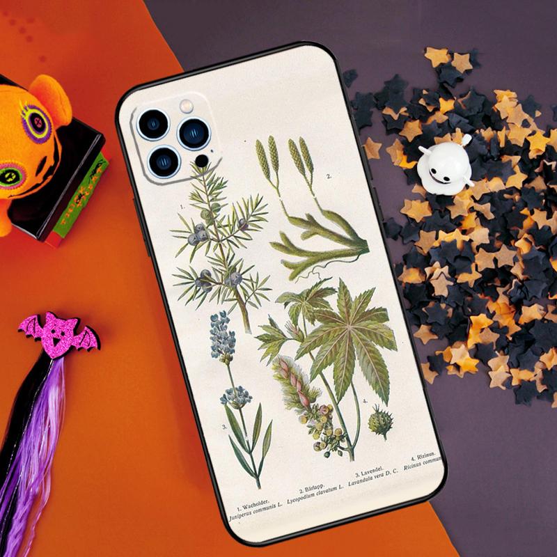 Botanical Drawings Flowers Plants Bumper Case For iPhone 16 14 15 Pro Max 11 12 13 Pro Max Mini XR 16e 16 15 Plus Phone Cover
