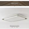 Nordic Minimalist Modern Ceiling Light for Living Room, Hall, Dining Room, and Bedroom - High-End and Atmospheric Design