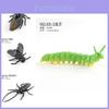 Realistic Pvc Insect Model Set Featuring Beetles Butterflies Ladybugs Caterpillars And More