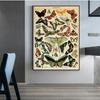 Canvas Painting Picture Kids Room Home Wall Decor Antique Butterfly Vintage Poster Prints Insect Kind Nature Education Wall Art No Frame