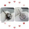 Latest Hot Brand Vintage Earrings Luxury Jewelry for Women Fashion Flowers Designer Eardrop 925 Sliver Lady Party Stud Earrings