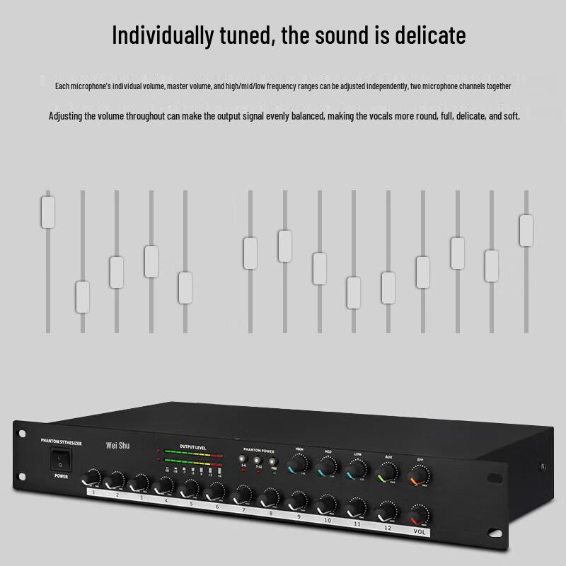 WeiShu TZ10 12-Channel Microphone Hub with 48V Phantom Power (CN Version)