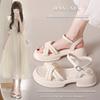 Fashion French Fairy Wind Slope Heel Sandals Female 2025 Summer New Platform Fashion Casual Womens Shoes Sandalias Para Mujeres