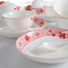 Chinese Plum Blossom Ceramic Dinnerware Set