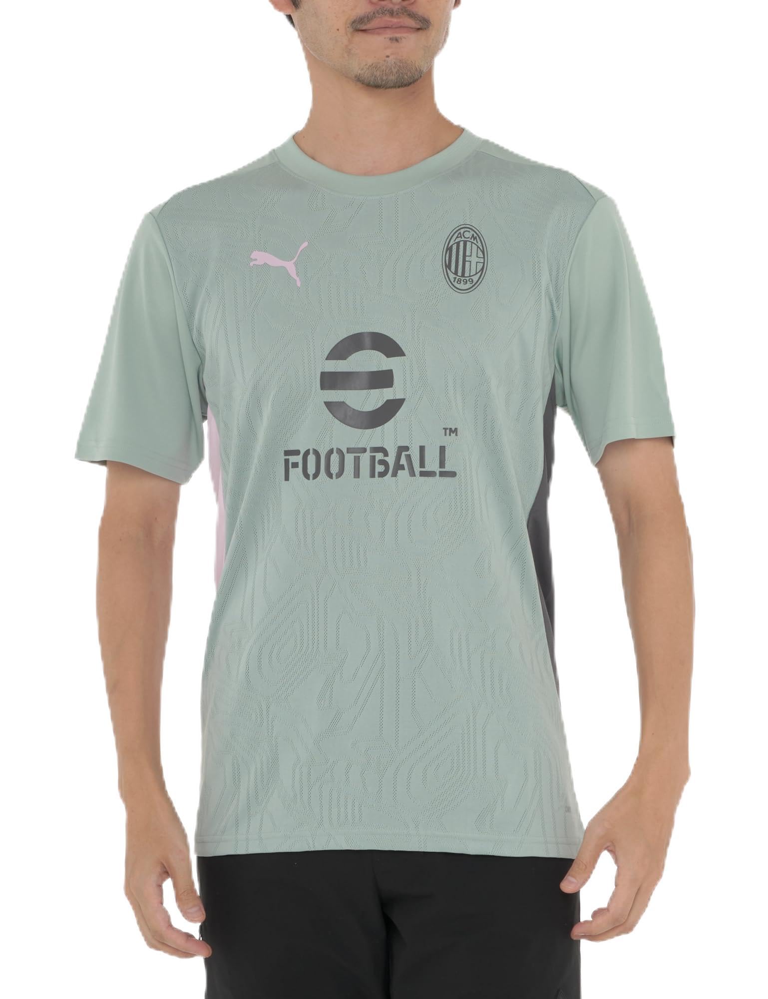 

Спортивная рубашка ACM Training SS 777496 24 Color Green Mist [PUMA] мужская осень/зима Fog/Grape (13)