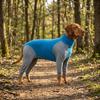 Blue Grey Color Dog Recovery Suit Four Leg Full Coverage Pet Pajamas  Hair Shed Control