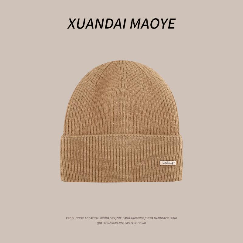 Knitted Hat for Women In Autumn and Winter Warm Plus Velvet Thick Korean Style Wool Hat Fashionable Ear Protection Hat Casual Travel Cold Hat