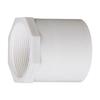 PVC Internal Thread Water Pipe Fitting