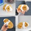 Lifelike Orange Guinea Pig Plush Toy For Children's Collection Gifts