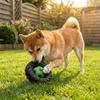 Giocattolo Interattivo Cane Elastico Suono Squeak Ruota Masticabile Cane Giocattoli Creativi per la Masticazione Gioco Indoor