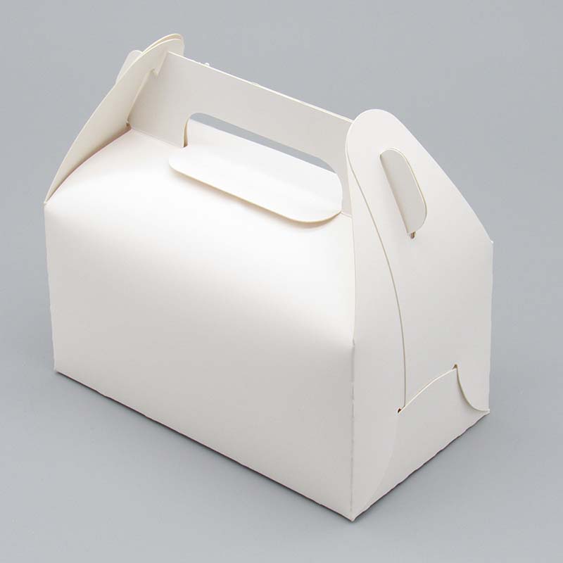 WTEMPO Clear Window Gift Handle Boxes Party Favor Decor Treat Boxes DIY Graffitable Foldable Paper Packaging Boxes for Storing/Gifting Delicate Items