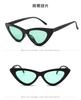 Vintage Cat Eye Sunglasses for Women Small Frame Sunglasses UV400 Protection Eyewear Fashion Trendy Accessories