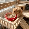 Multi-Functional Hamster Mushroom Food Bowl Cute Pet Feeding Bowl Pet Water Fountain  Cage Decor