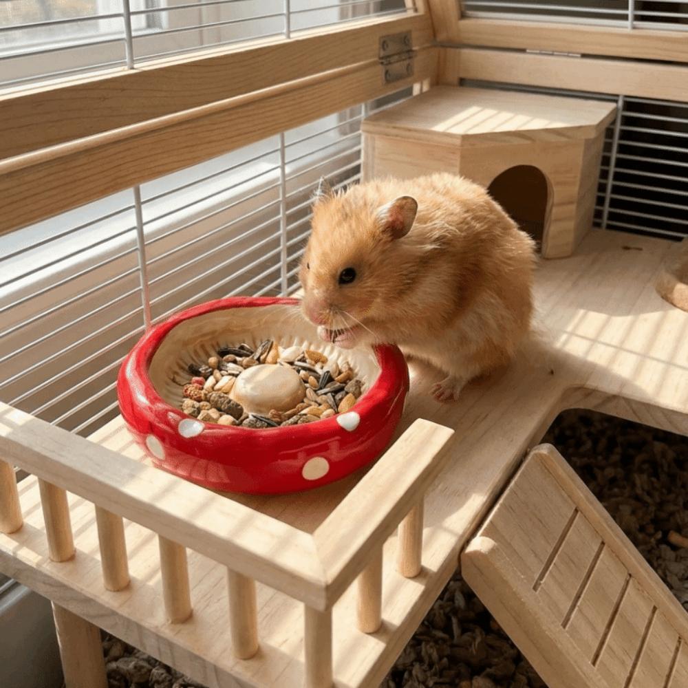 Cute Pet Feeding Tray Ceramic Pet Feeding Bowl Creative Hamster Mushroom Food Bowl Decorative