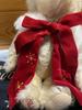 [USED] Steiff Asian Santa Teddy Bear 2004