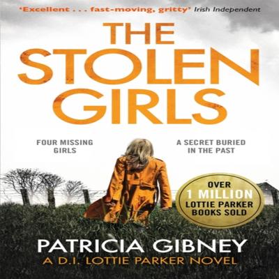 The Stolen Girls by Patricia Gibney Paperback Book 9780751572193