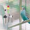 Stainless Steel Bell Toy for Birds Middle large Size Parrot Standing Toy Cage Decor