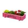 Special Succulent Planter Sturdy No Burrs Stable