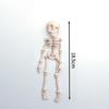 Halloween Fridge Magnets 3D Poseable Skeleton Magnet Movable Joints Refrigerator Decoration Creative DIY Ornament Halloween Gift