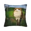 My Spirit Animal Funny Meowl Cat Owl Pillowcase Printed Cushion Cover Gift Meme Brainrot Throw Pillow Case Cover Home Zippered
