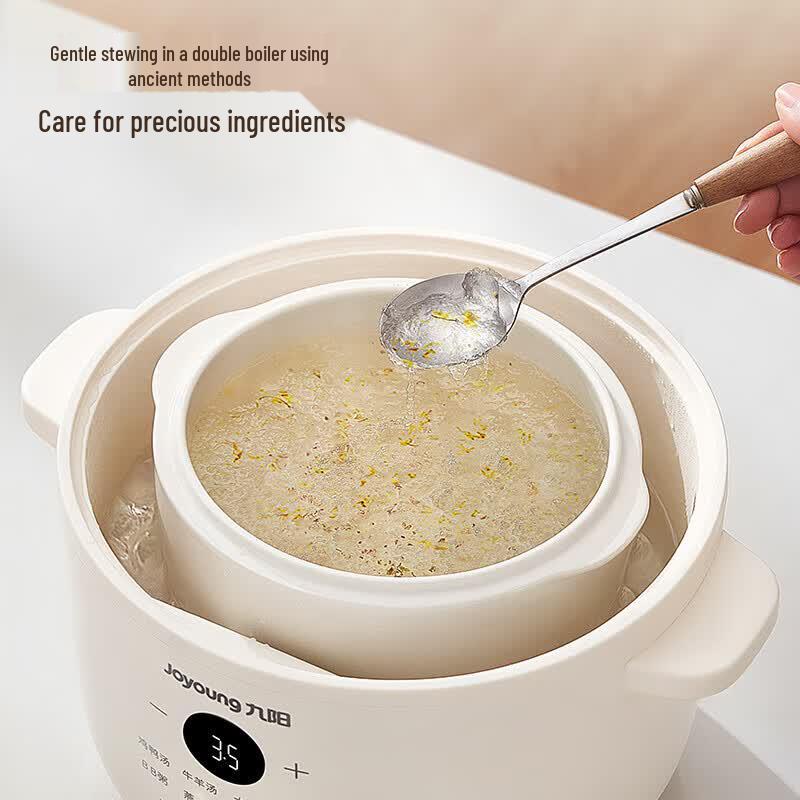 Joyoung Electric Stew Pot & Steamer CN plug (adapter included)