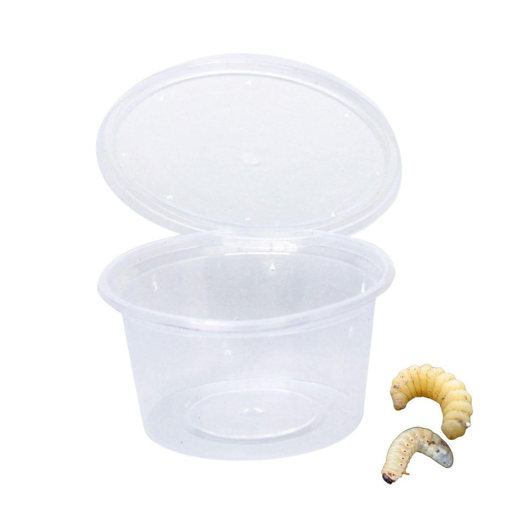 Archnote 50-Piece Pudding Cup Insect Breeding Containers for Rhinoceros Beetles, Stag Beetles, and Larvae, with Holes