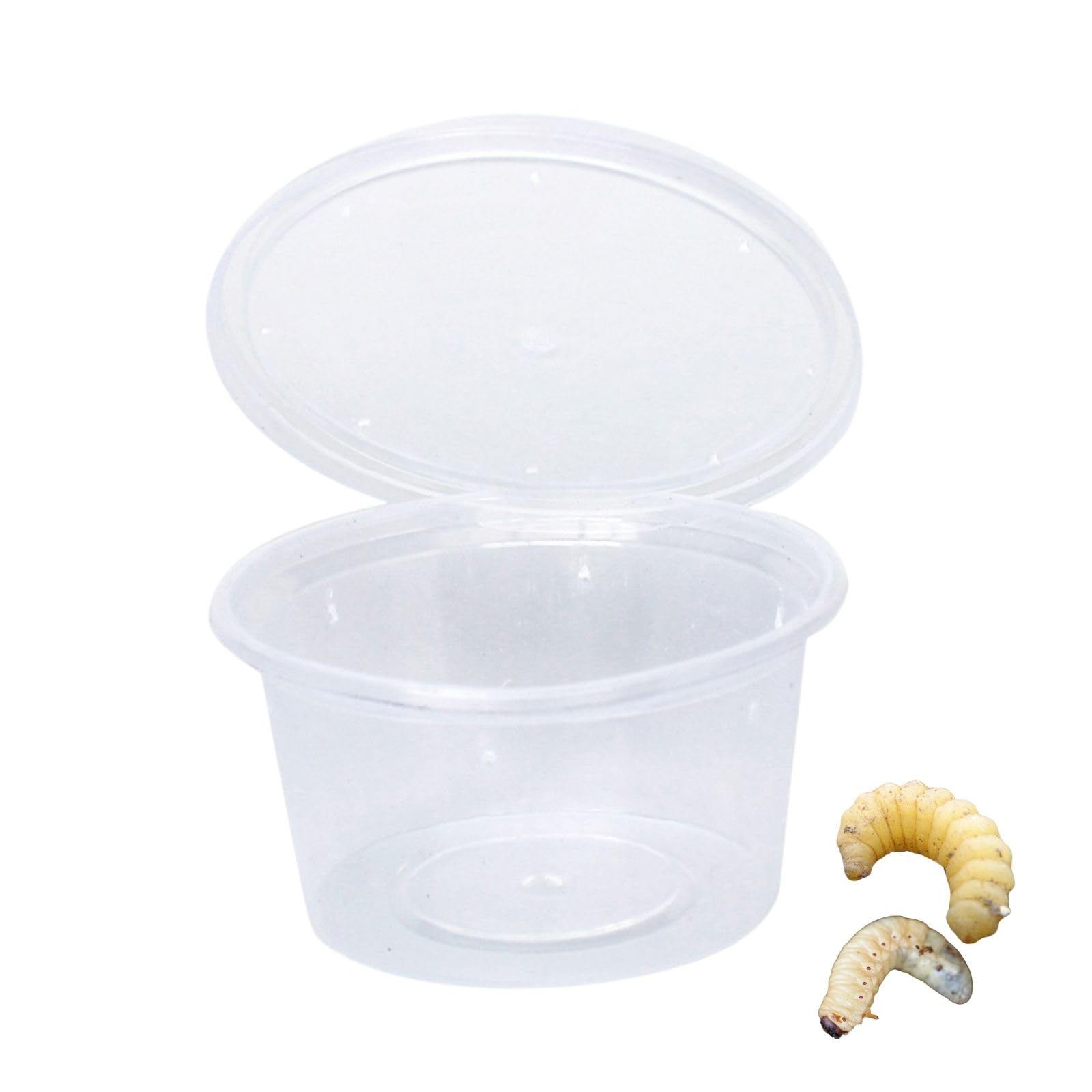 

Archnote 50-Piece Pudding Cup Insect Breeding Containers for Rhinoceros Beetles, Stag Beetles, and Larvae, with Holes