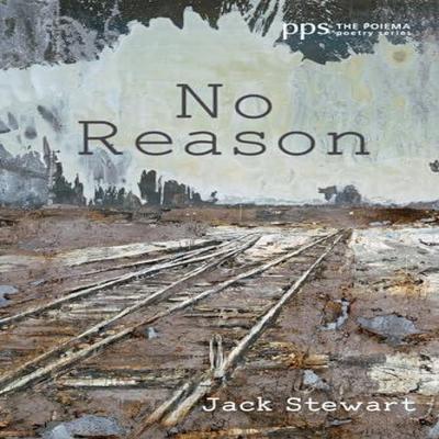 No Reason by Jack Stewart Hardback Book 9781725267794