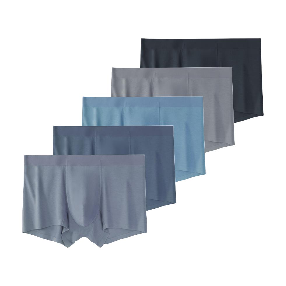 5 gab. Vīriešu modalas bezšuvju bokseršorti
