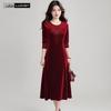Women's V-Neck A-Line Velvet Embellished Dress
