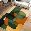 Retro Curve Abstract Area Rug Orange Blue Mid Century Modern Carpet Colorful Geometric Floor Decor Washable Living Room Rugs