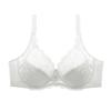 New Amazon Women's Sexy Plus Size Bra Lace Gather Comfort Bra Plus Size Underwear