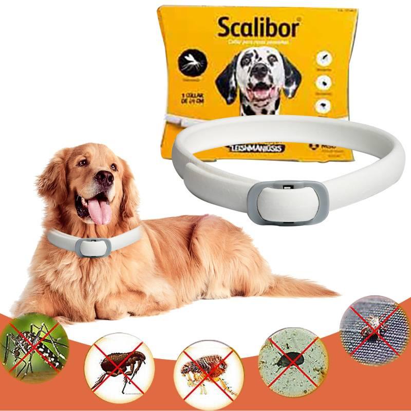 Adjustable Flea And Tick Collar For Dogs Tpr Material