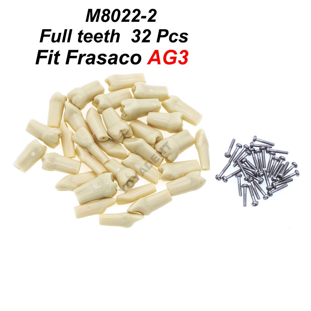 Fit Frasaco AG3 Typodont Dental Teeth Model Full teeth 32Pcs Screw-in Practice Filling Soft Gum Gingivae Teeth Training Teach